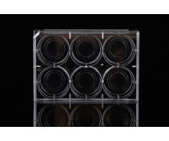 6 Well Glass Bottom Cell Culture Plate,μ 20mm,TC, sterile 1/pk, 10/cs