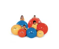 Gymnic Balls (Colors Will Vary) 25" (65 CM)