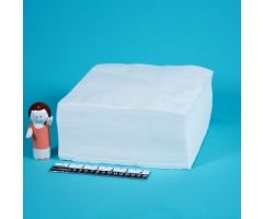 Cleanroom Wipe Health Care Logistics ISO Class 5 White NonSterile 1 Ply Tissue 9 X 9 Inch Disposable