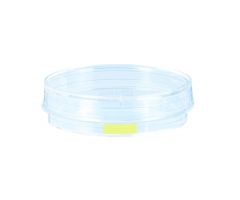 Tissue culture dish, (xH): 60 x 15 mm, surface: Cell+