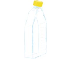 Cell culture flask, T-175, surface: Cell+, 2-position screw cap