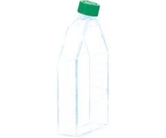 Cell culture flask, T-175, surface: Suspension, 2-position screw cap
