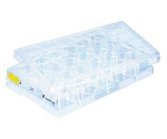 Cell culture plate, 24 well, surface: Cell+, flat base