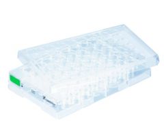 Cell culture plate, 48 well, surface: Suspension, flat base