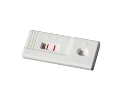 Rapid Test Kit Accutest Value+ Fertility Test hCG Pregnancy Test Urine Sample 25 Tests