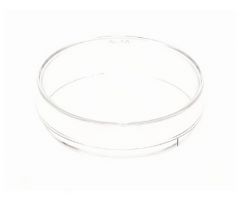 Petri Dish Thermo Scientific Nunc Polystyrene
