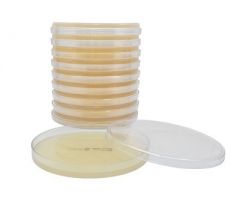 Prepared Media Mueller Hinton Agar Dehydrated
