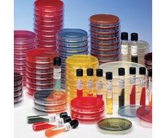 Prepared Media BD BBL Chocolate II Agar Dark Brown Mono-Plate Format