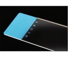 Microscope Slide Globe 1324 Series 25 X 75 X 1.1 mm Blue Frosted End
