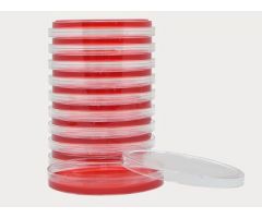 Prepared Media Xylose Lysine Deoxycholate Agar Petri Plate Format