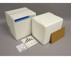 Insulated Shipper Therapak 6 X 8 X 8 Inch For Transporting Biological Substance Category B Specimens