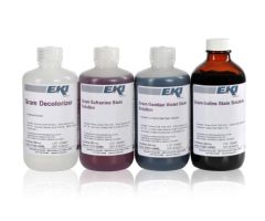 Gram Stain Kit 4 X 250 mL
