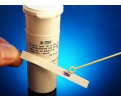 Test Oxidase 25 Tests