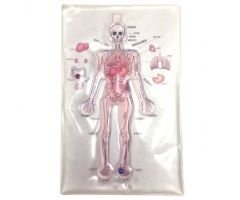 Human Anatomy Gel Maze 19"W x 12"D