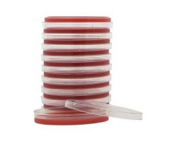 Prepared Media Selective Strep Agar (COBA Medium) Mono-Plate Format