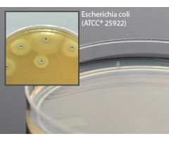 Prepared Media Mueller Hinton Agar Petri Plate Format