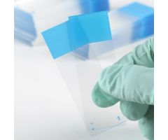Microscope Slide Diamond White Glass Charged 25 X 75 X 1 mm White Frosted End