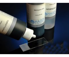 Acid Fast Stain Kit 3 X 250 mL