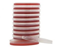 Prepared Media Tryptic Soy Agar (TSA) with 5% Sheep Blood Red Petri Plate Format 919162