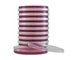 Prepared Media MacConkey Agar Petri Plate Format