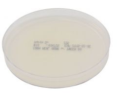 Prepared Media Corn Meal Agar with Tween 80 Deep Fill Plate Format