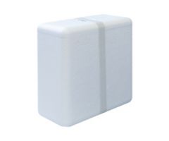 Polystyrene container, suitable as outer packaging for cool transport