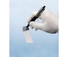 Lab Scientific Marking Pen