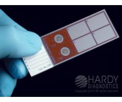 Q-SLIDE AFB 5/BX ACID FAST BACILLUS