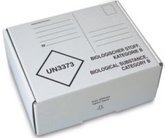 Post transport packaging, 192 x 146 x 77 mm, for cold transport container
