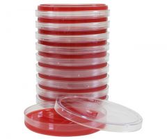 Bovine Blood Agar; HDx, 15x100mm plate R