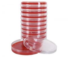 V Agar w/CNA; HDx, 15x100mm plate * R