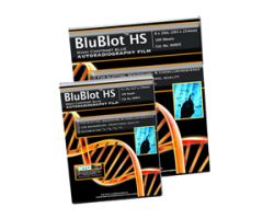 BluBlot HS Autoradiography film, 8x10in, 100 sheets/box