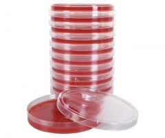 PEA w/5% Sheep Blood; HDx, 15x100mm plate R