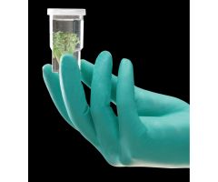 NeoTouch Powder-Free Textured Neoprene Gloves, 9.5", Green, Size S