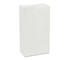 Bag Grocery Paper #2 White 500/Bg