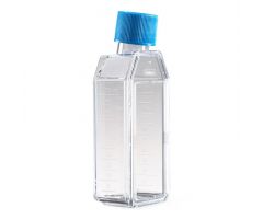Falcon Rectangular Canted Neck Cell Culture Flask with Blue Plug Seal Screw Cap, 25cm2
