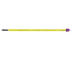 H-B Double-Safe PFA Coated, Liquid-In-Glass Thermometer, 20/300  F, 50 mm Immersion