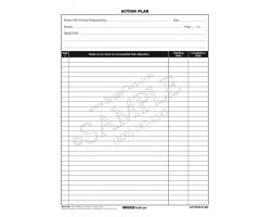 Action Plan Form