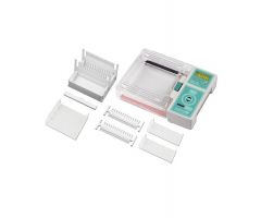 Enduro Gel XL Electrophoresis Tray Set, Large, 12.5 x 12 cm, 2/Pack
