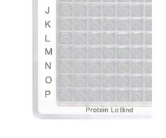 384-DWP/200UL PROTEIN LOBIND, RED, PK/40