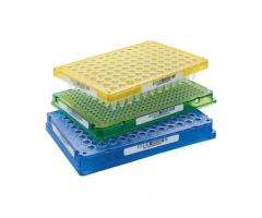 PCR PRODUCT, TWIN, TEC384, BARCODE(S), CUSTO