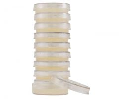 R2A Agar; HDx, 15x60mm plate R