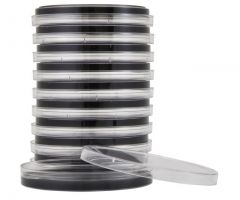 Campy,Blood Free, Karmali; HDx, 15x100mm plate R