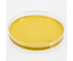 CGB Agar; HDx,15x100mm plate R