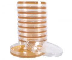 Lactobacilli MRS Agar; HDx, 15x100mm plate * R