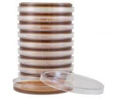 Peptic Digest Agar w/F&N; HDx, 15x100mm plate R