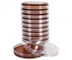 Brilliant Grn Agr w/Novo; HDx, 15x100mm plate * R
