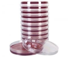Violet Red Bile w/Glu USP; HDx, 15x100mm plate R