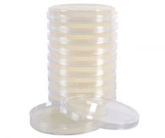 Cetrimide Select Agar USP; HDx, 15x100mm plate R