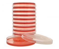 Vogel and Johnson Agar; HDx, 15x100mm R